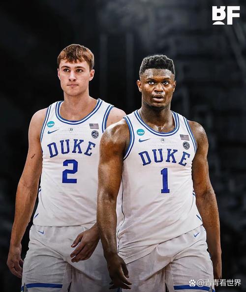 下半场轰25分难救主!锡安17中9空砍29分6板3助